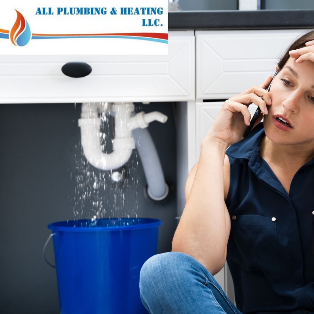image of business All Plumbing & Heating