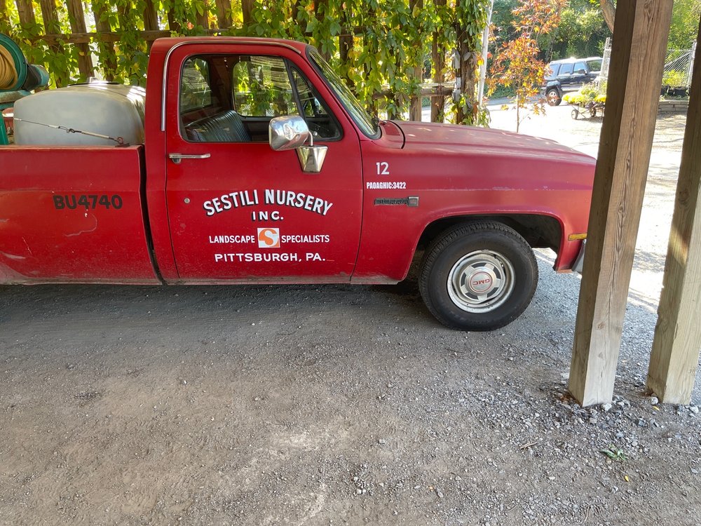 Sestili Nursery
