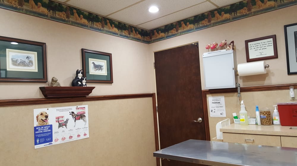 Valley Veterinary Clinic 13 Photos & 48 Reviews Veterinarians 845