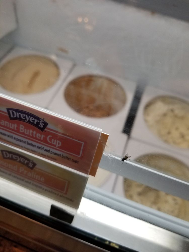 Kate’s Korner Ice Cream Parlor 27 Photos & 33 Reviews Ice Cream