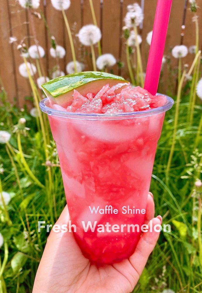 Sunshine State of Mind