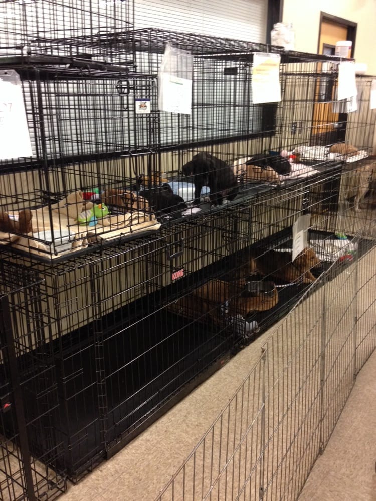 PetSmart 21 Reviews Pet Stores 1336 Hilltop Dr, Redding, CA