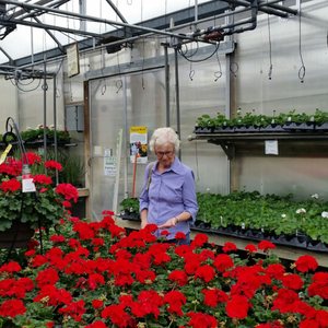 Meadow View Growers 41 Photos 14 Reviews Nurseries Meadow View Growers 41 Photos 14 Reviews Nurseries