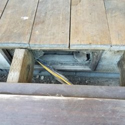The Best 10 Pest Control Near Sonoma Ca 95476 Last Updated April Hovan Pest Control