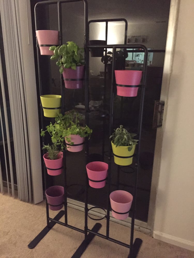Socker Plant Stand I M Using As A Vertical Herb Garden Yelp Photo Of Ikea San Go Ca United States Socker Plant Stand I