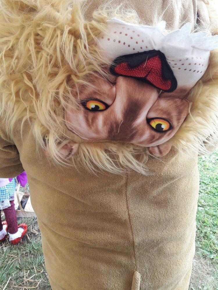 Land Of Oz Theme Park 31 Photos & 10 Reviews Amusement Parks 2669