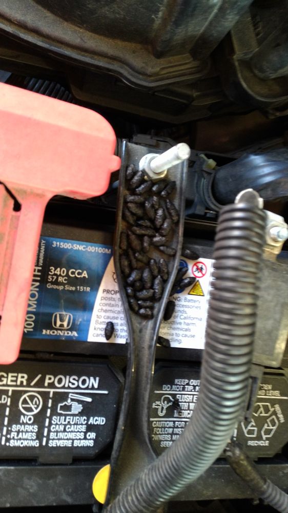 Machado's Auto Care