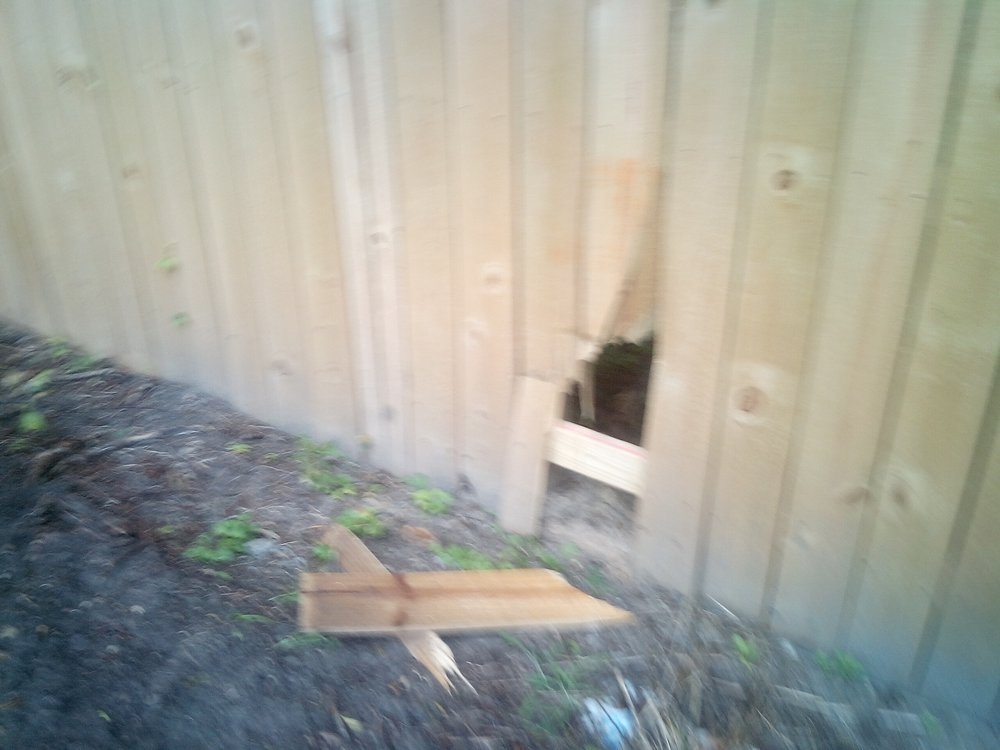 Patriot Metal Buildings & Concrete