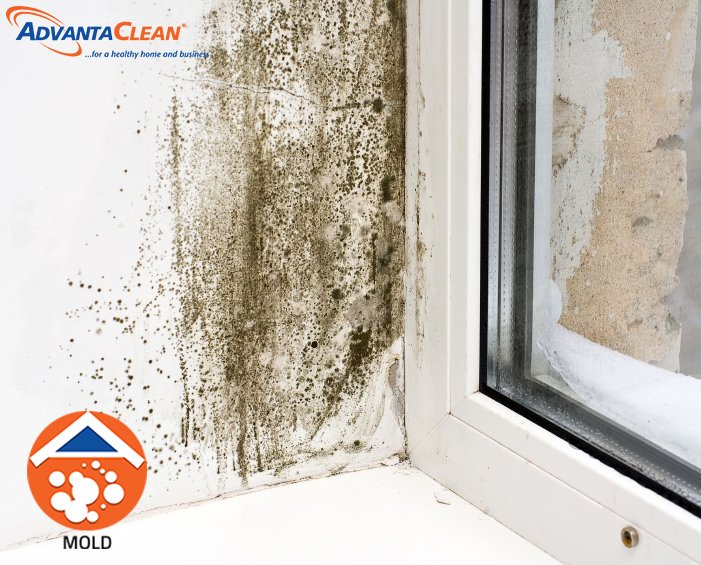 AdvantaClean of Durham