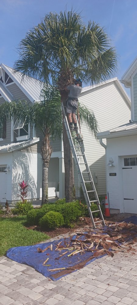 Bryan’s Tree Service