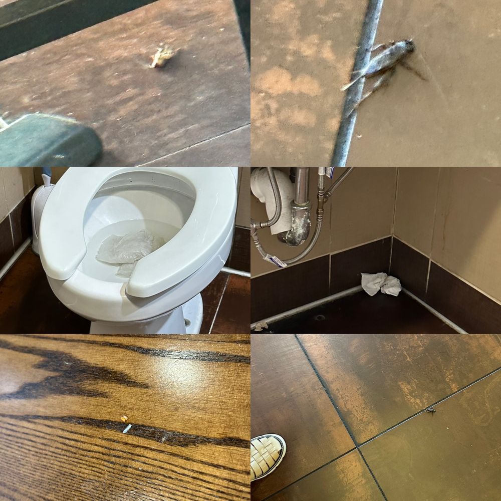 Pei Wei Asian Kitchen