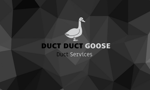 Duct Duct Goose