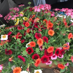 Snohomish Garden Center 17 Reviews Nurseries Gardening 11602 Photo Of Snohomish Garden Center Wa United States The Basket I