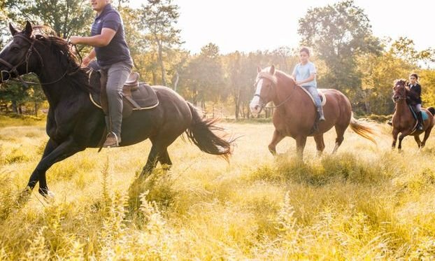Hunt View Riding Academy