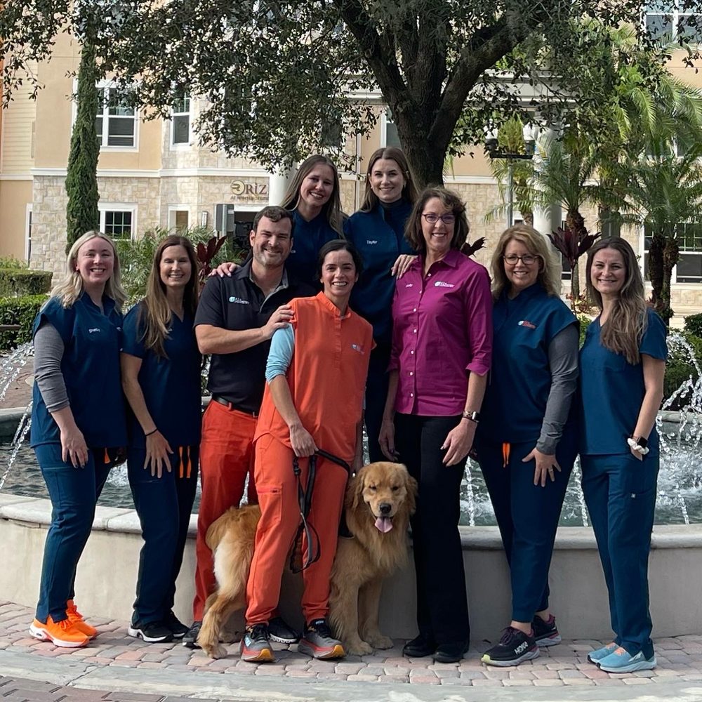image of business 434 Dentistry
