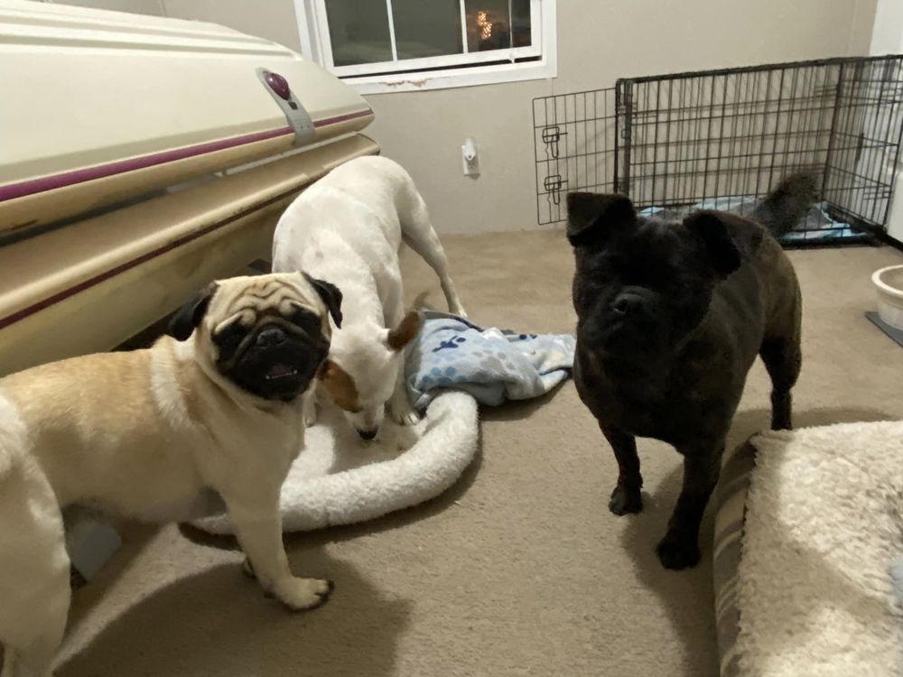 Inner Banks Home Services