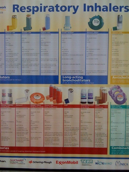 image of business Allergy and Asthma Associates of Michigan