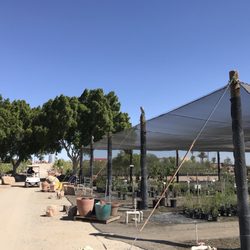 Yuma Nursery Supply 15 Photos Nurseries Gardening 4405 S Photo Of Yuma Nursery Supply Az United States
