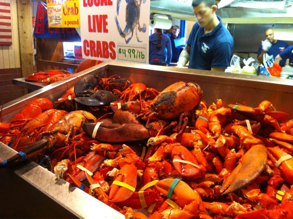 Jordan Lobster Farms Island Park Ny Jordan Lobster Farms Island Park Ny