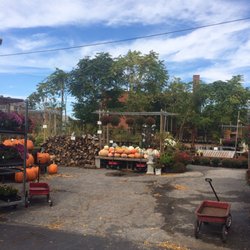Lakewood Garden Center 10 Photos Nurseries Gardening 13230 Photo Of Lakewood Garden Center Oh United States Great Pumpkin Selection