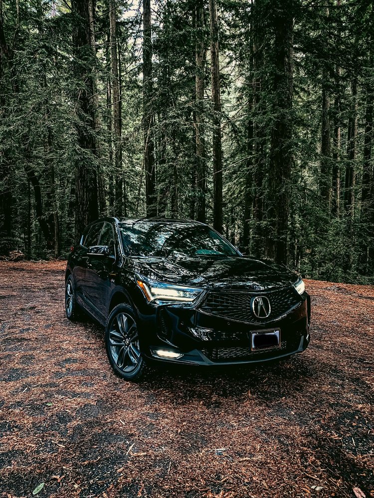Hopkins Acura