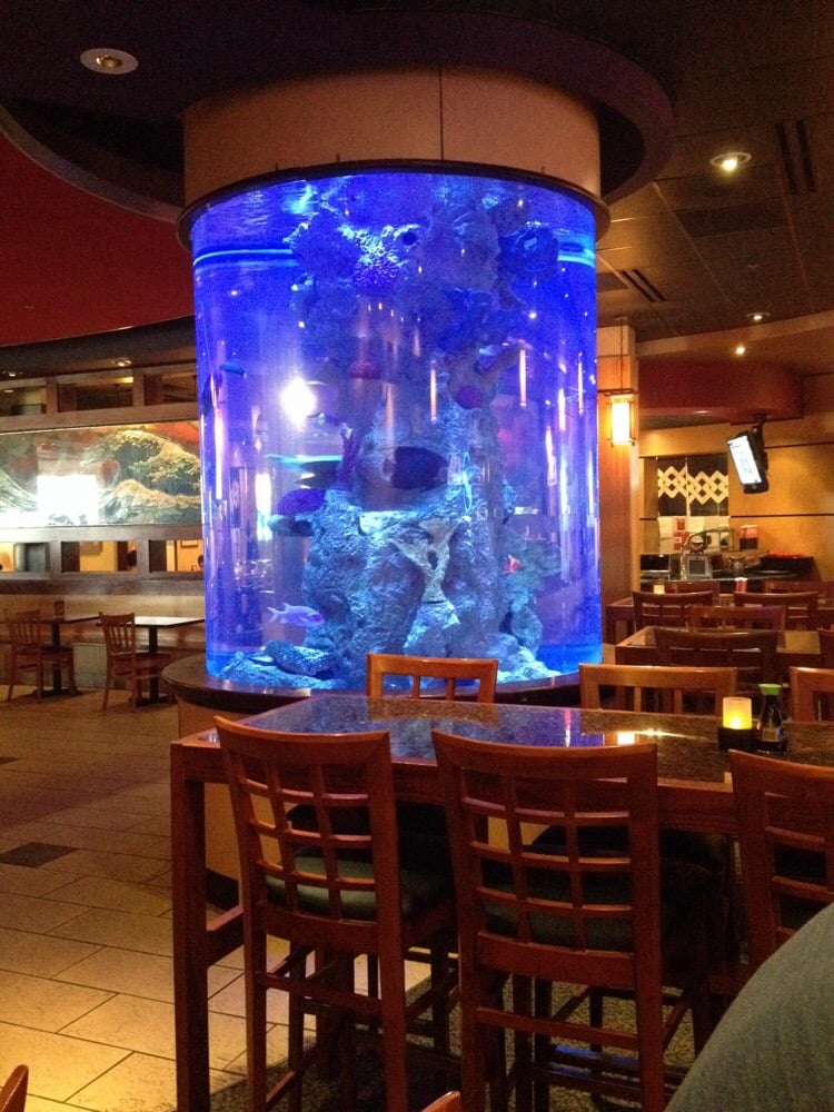 Kanki Japanese House of Steaks & Sushi 49 Photos & 97 Reviews Japanese 3504 Mount Moriah