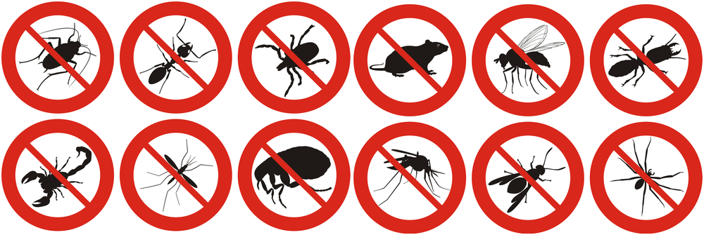 Certified Termite and Pest Control