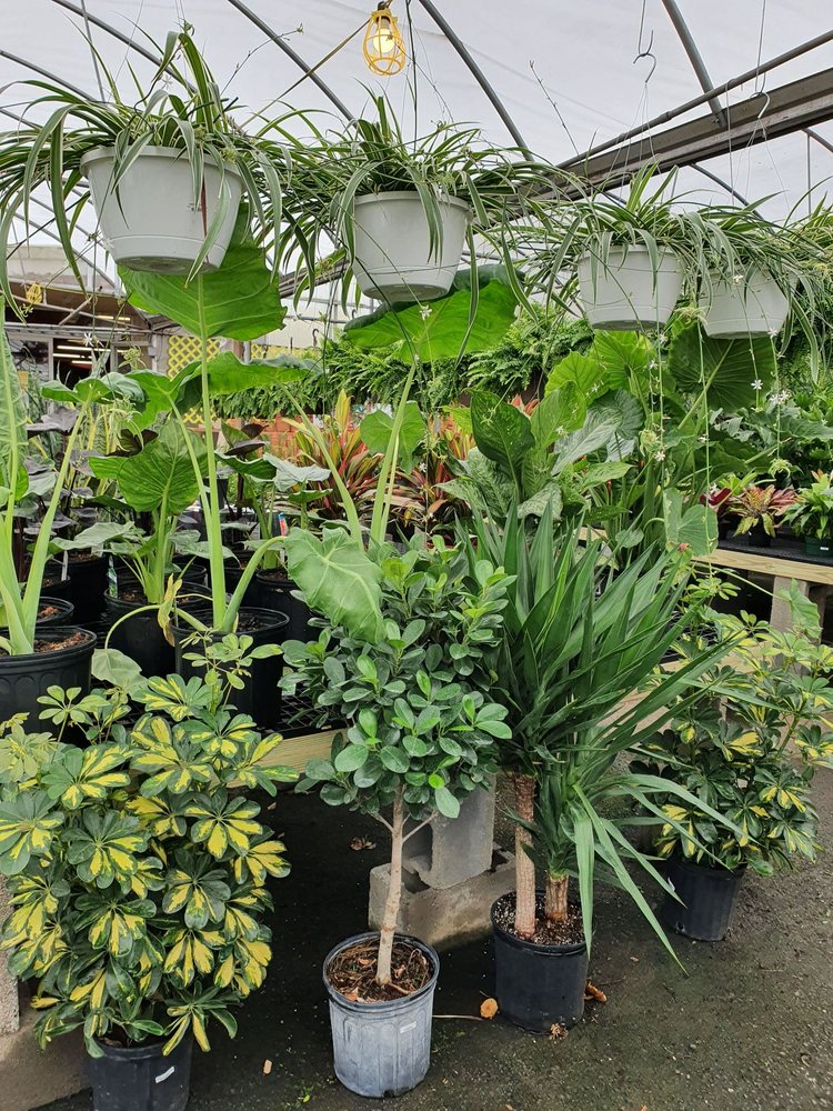 Meadows Farms Nurseries - Route 7