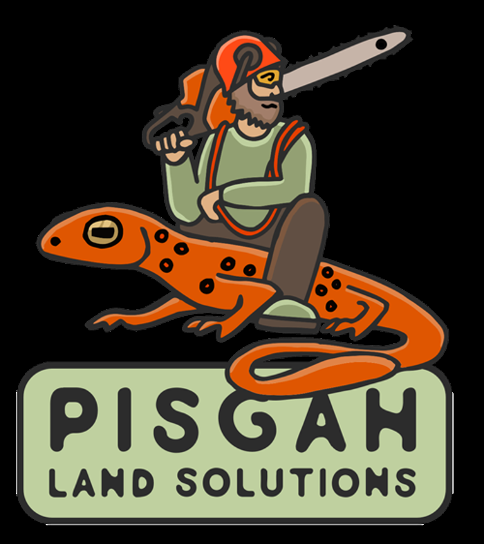 image of business Pisgah Land Solutions