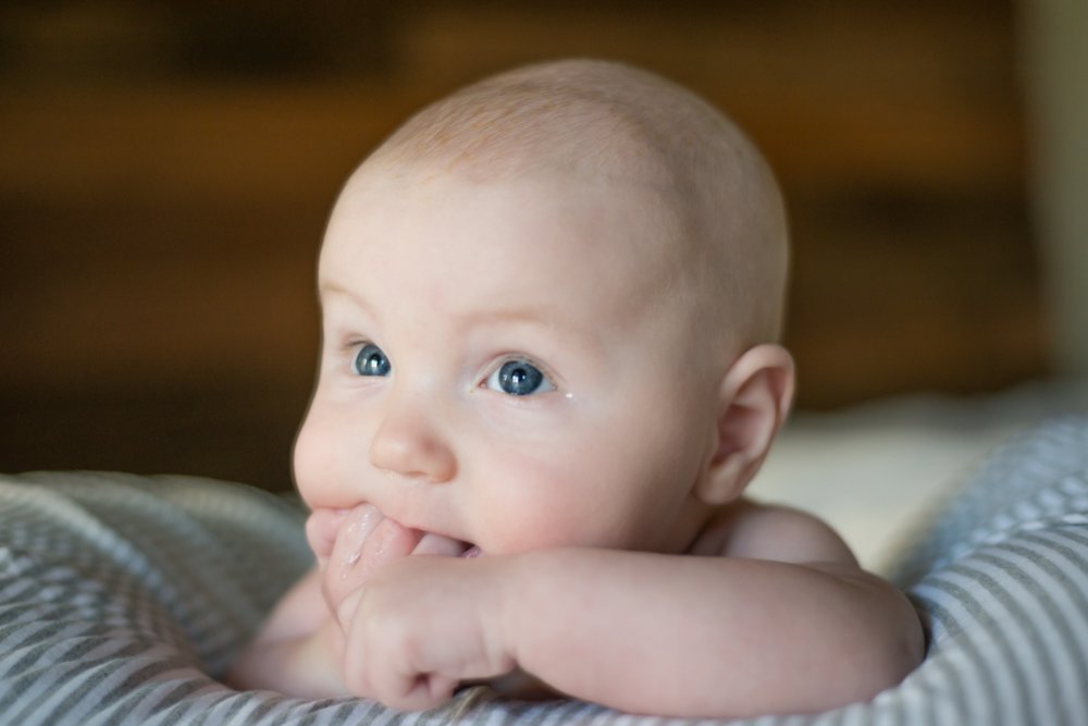 Stacey Vaeth Photography