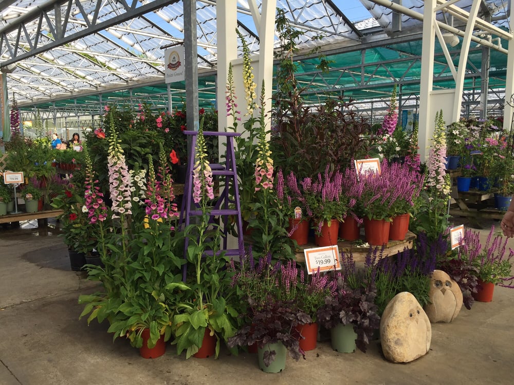 Petitti Garden Centers 18 Photos Home & Garden 33777 Chester Rd