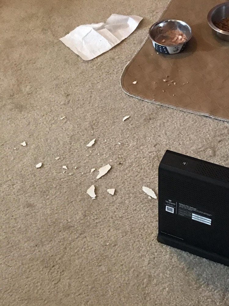 image of business Texans Force