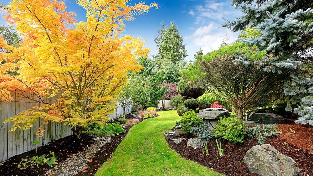 Longview Garden Landscaping 114 N Ward Dr, Longview, TX Phone