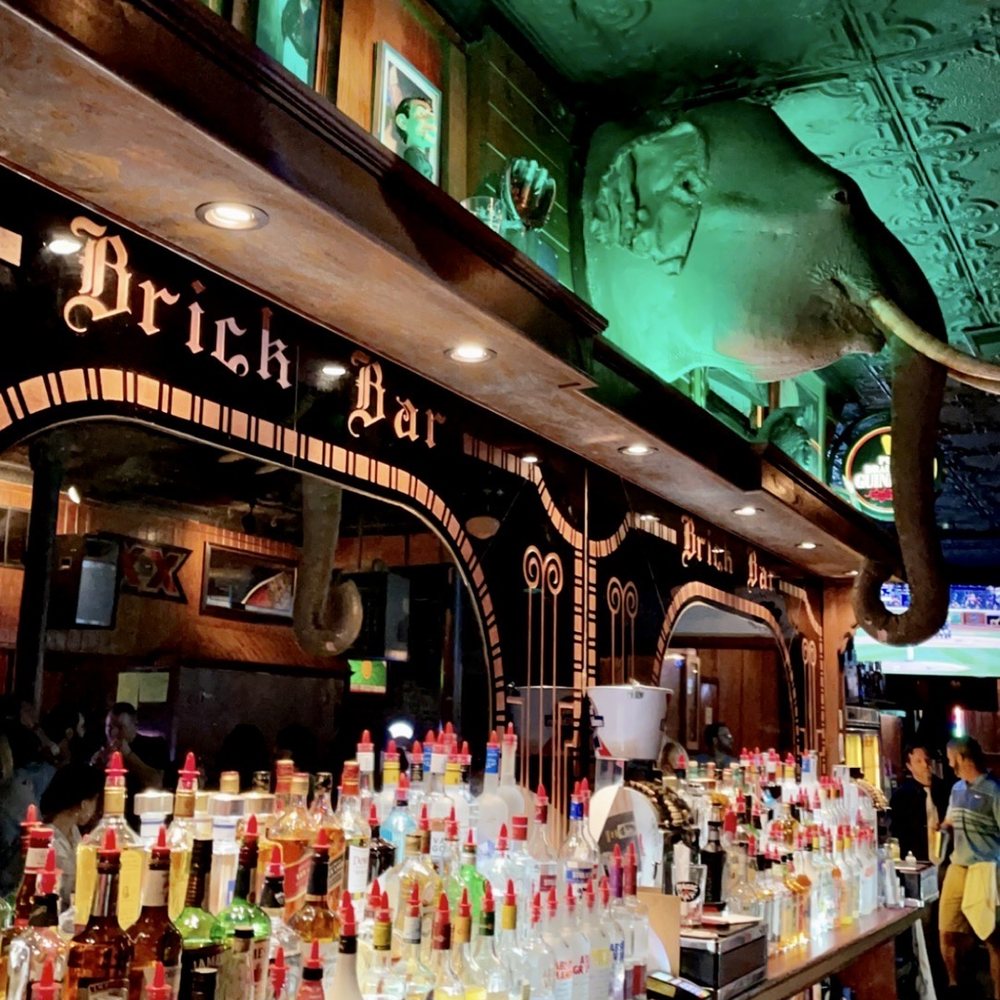 Best Elmwood/Allentown Bars Buffalo, NY Buffalo, NY Yelp