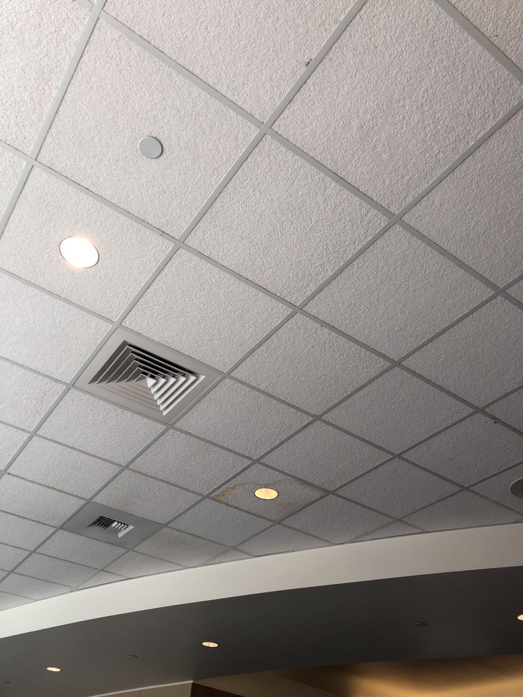 Looks Like This Place Has A Water Leaking In The Ceiling Tiles See Photo Of The Club At Sea Seattle Wa United States Looks Like