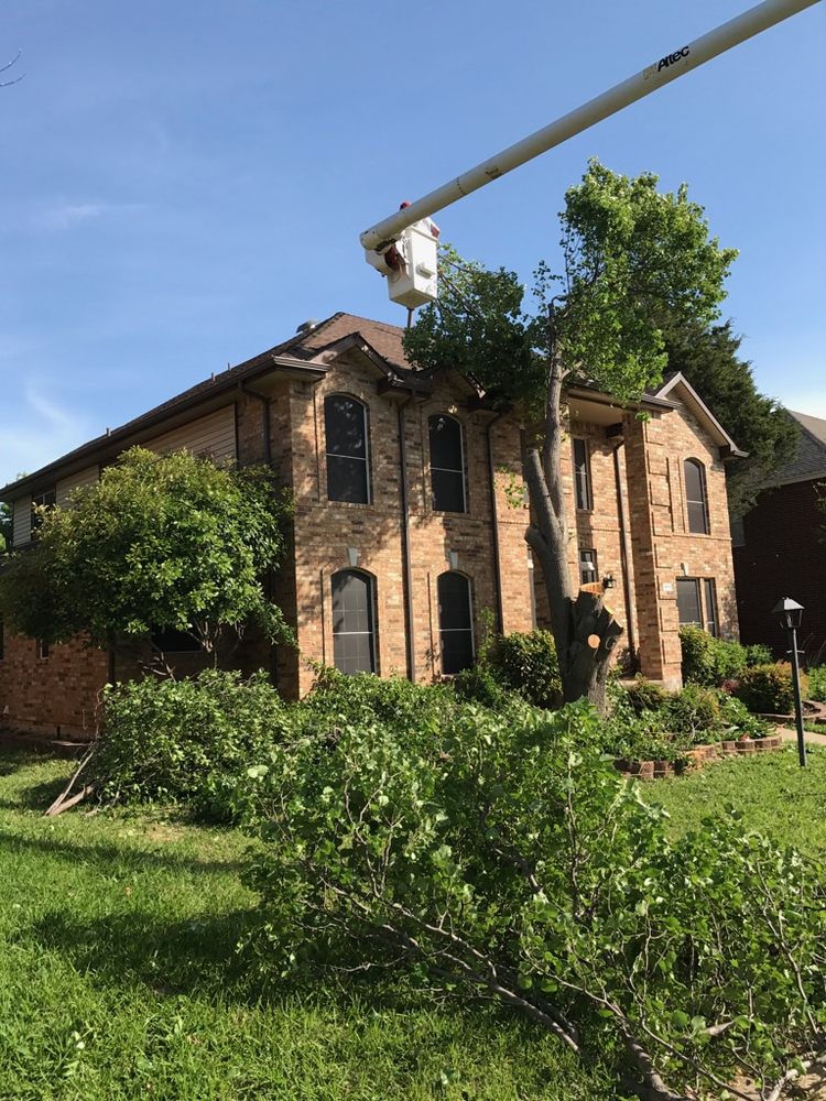 Patriot Tree Service