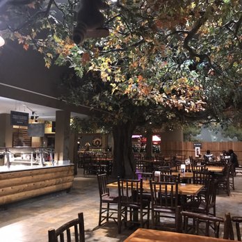 Great Wolf Lodge - 413 Photos & 219 Reviews - Amusement Parks - 10175