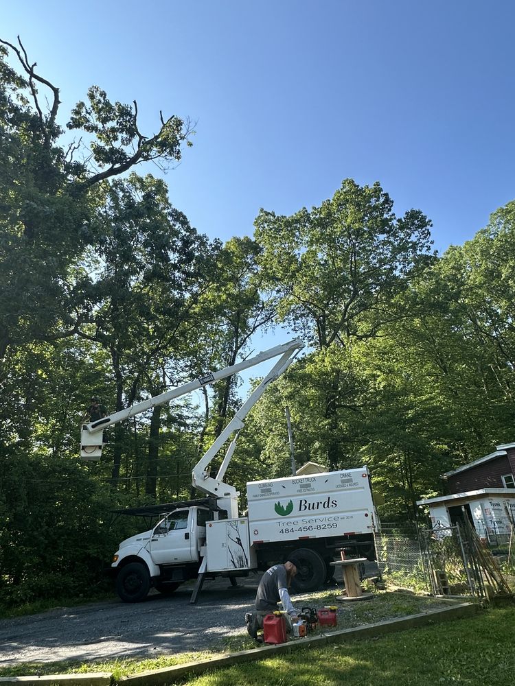 Burds Tree Service