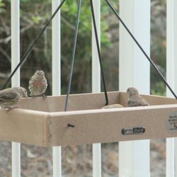 wild birds unlimited 11 reviews pet shops 24451 wild birds unlimited 11 reviews pet shops 24451