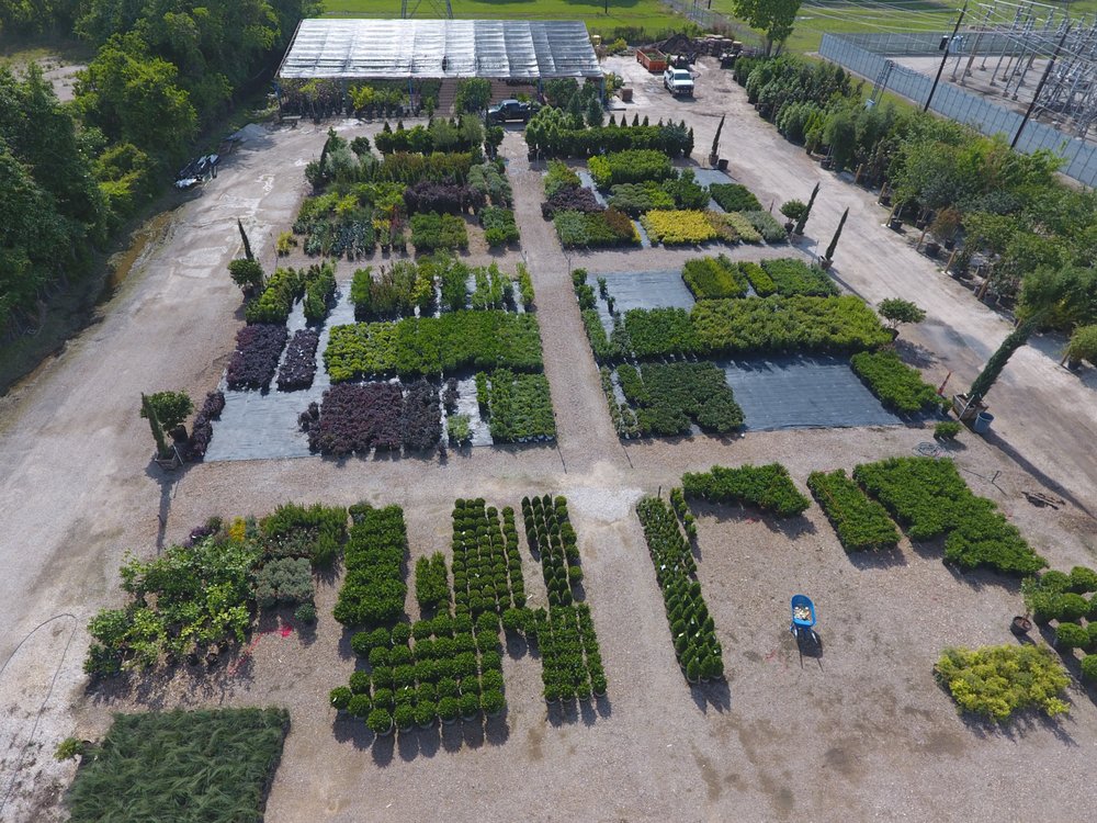 Our Brittmoore Whole Nursery In The Fulfillment Stages Picture Photo Of The Ground Up Houston Tx United States Our Brittmoore Whole