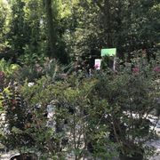 New Garden Landscaping & Nursery - 16 Photos - Nurseries & Gardening