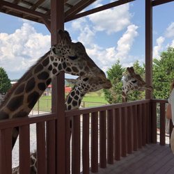 Top 10 Best Zoos Near Banner Elk Nc 28604 Last Updated August