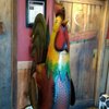 Barnyard BBQ
