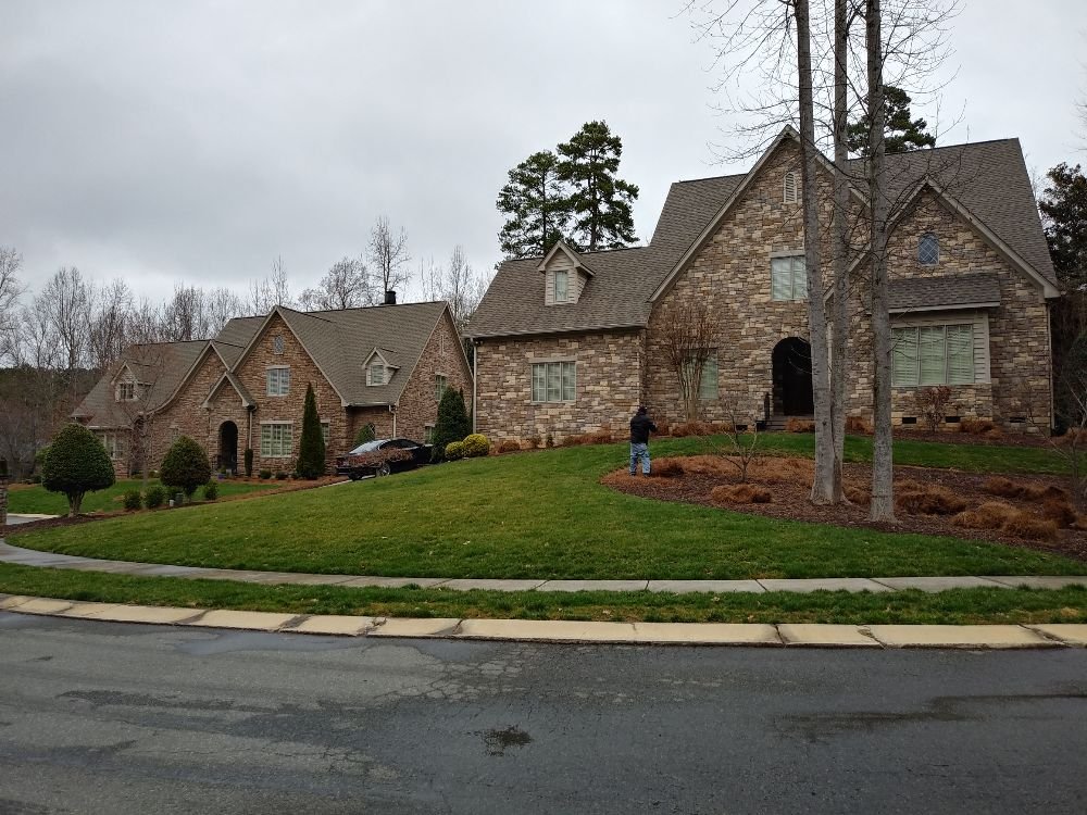 Sincere's Pineneedles