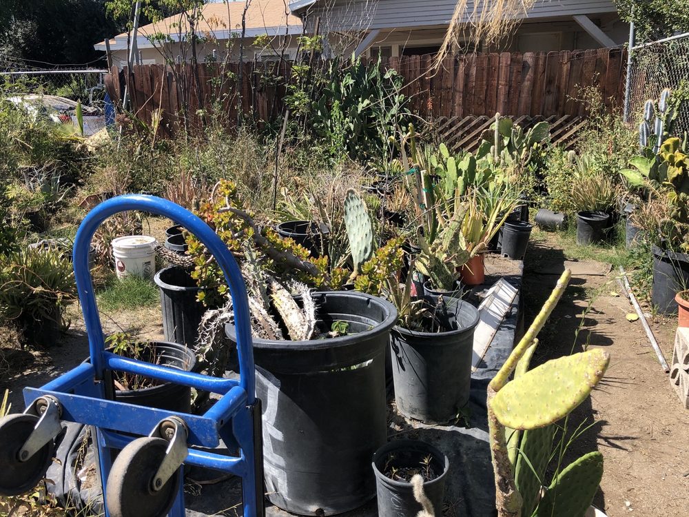 All Seasons Home & Garden Center