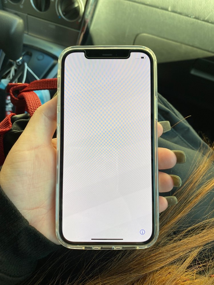 Shattered Cell Repair