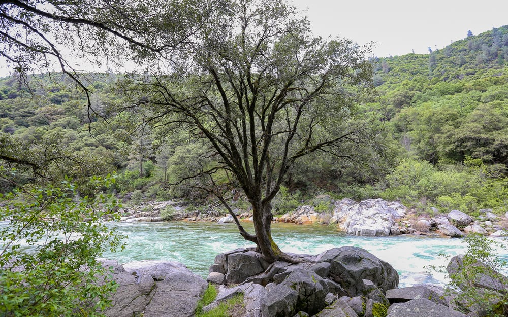 South Yuba River Trail and Campground 19 Photos Hiking Nevada