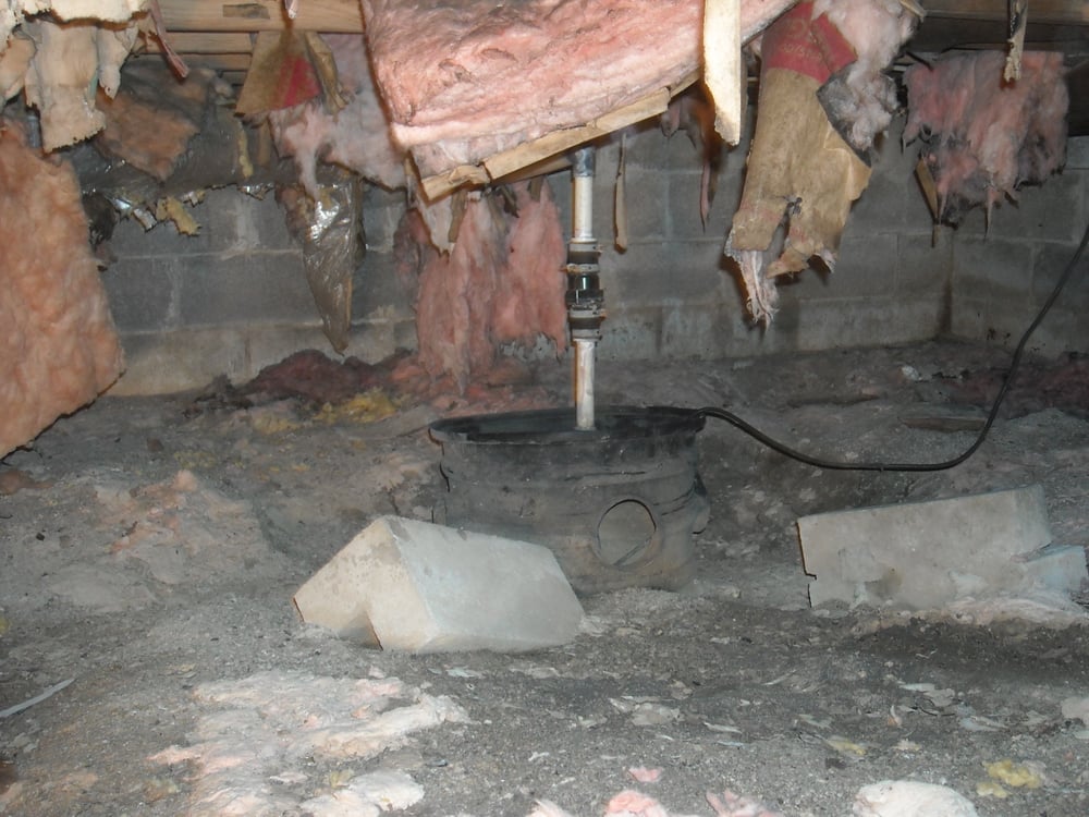 image of business American Basement Solutions