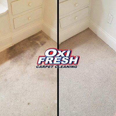 Oxi Fresh Carpet Cleaning