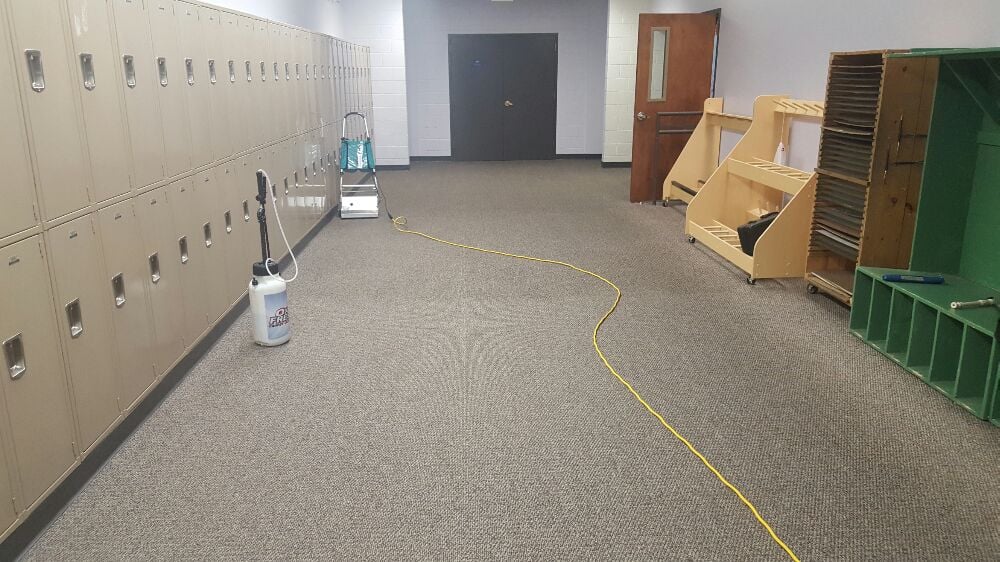 Oxi Fresh Carpet Cleaning 30 Photos & 37 Reviews Carpet Cleaning